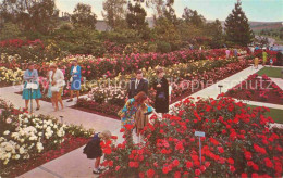 72754154 Whittier_California Pageant Of Roses Garden - Other & Unclassified