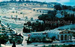 72748923 Jerusalem Yerushalayim Gethsemane Oelberg Israel - Israel