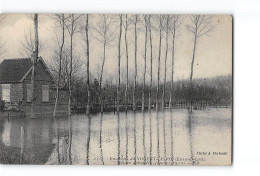 Environs De NOGENT LE ROI - L'Eure Déborde - Janvier 1910 - état - Andere & Zonder Classificatie