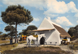 13-SCENE DE CAMARGUE-CABANE DU BOUCANET-N°T551-A/0235 - Sonstige & Ohne Zuordnung