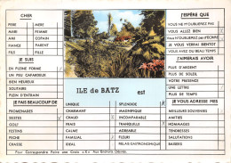 29-ILE DE BATZ-N°T553-D/0205 - Ile-de-Batz