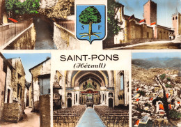 34-SAINT PONS-N°T554-D/0097 - Saint-Pons-de-Thomières