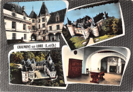 41-CHAUMONT SUR LOIRE-N°T556-A/0345 - Other & Unclassified