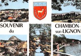 43-LE CHAMBON SUR LIGNON-N°T557-A/0009 - Le Chambon-sur-Lignon