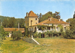 46-ALBAS-CHÂTEAU DU QUAYROU-N°T557-C/0271 - Other & Unclassified