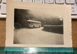 REAL PHOTO - VOITURE AUTOMOBILE BUS - Coches