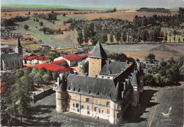 54-FLEVILLE-LE CHÂTEAU-N°T558-B/0311 - Other & Unclassified