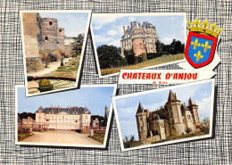49-PANORAMA DES CHATEAUX D ANJOU-N°T558-A/0225 - Other & Unclassified