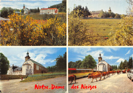 48-NOTRE DAME DES NEIGES-L ABBAYE-N°T557-D/0311 - Andere & Zonder Classificatie