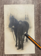 V161F - Rare - FOISSY - Carte Photo D’un Homme ( Alfred) Et Son Cheval - Yonne - Autres & Non Classés