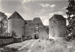 58-MOTTE JOSSERAND-CHÂTEAU FEODAL-N°T558-D/0177 - Autres & Non Classés