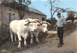 58-FOLKLORE DU MORVAN-ATTELAGE DE BŒUFS-N°T558-D/0157 - Andere & Zonder Classificatie