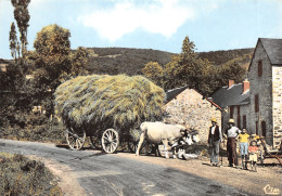 58-SCENE DU MORVAN-LA RENTREE DES FOINS-N°T558-D/0081 - Autres & Non Classés