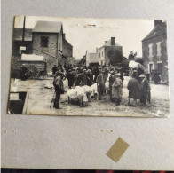 CPA De Ernée -  Quartier Saint Antoine - Carte Très Animée, Nombreux Personnages, Animaux, Foire, Marché… - Ernee