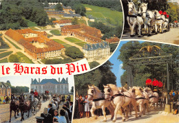 61-HARAS DU PIN-N°T559-A/0343 - Autres & Non Classés