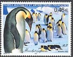 TAAF 2003 - Manchot Empereur - 1 V. - Pinguïns & Vetganzen