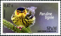 SAINT-PIERRE-ET-MIQUELON 2011 - Oiseau : La Paruline Tigrée - 1 V. - Unused Stamps