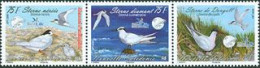 NOUVELLE CALEDONIE 2009 - Oiseaux Menacés: Les Sternes - 3 V. - Seagulls