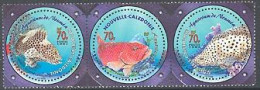 NOUVELLE CALEDONIE 2003 - Les Loches -  Aquarium De Noumea - 3 V. - Unused Stamps