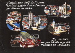 89-PANORAMA DE L YONNE-N°T563-A/0353 - Autres & Non Classés