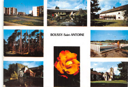 91-BOUSSY SAINT ANTOINE-N°T563-B/0123 - Andere & Zonder Classificatie