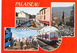 91-PALAISEAU-N°T563-B/0041 - Palaiseau