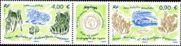 TAAF 2009 - Biologie - Algologie - 1 Triptyque - Unused Stamps
