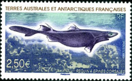 TAAF 2009 - Requin à épines Dorsales - 1 V. - Unused Stamps