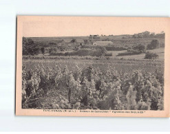 FAYE D'ANJOU : Coteaux De Guinechien, "" Vignobles Des Saulaies"" - Très Bon état - Altri & Non Classificati