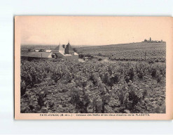 FAYE D'ANJOU : Coteaux Des Noëls Et Les Vieux Moulins De La Placette - Très Bon état - Altri & Non Classificati