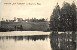 Ilmenau - Gasthaus Zum Auerhahn - Ilmenau