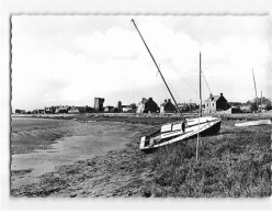 REGNEVILLE SUR MER : Vue Générale Sur Le Rivage - Très Bon état - Andere & Zonder Classificatie