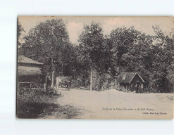 Forêt De La Reine Fauvette Et Du Roi Pinson - état - Andere & Zonder Classificatie