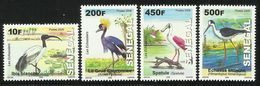 Senegal  2011  Birds  Set  MNH - Sonstige & Ohne Zuordnung