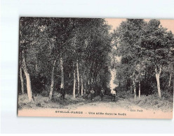 STELLA PLAGE : Une Allée Dans La Forêt - Très Bon état - Autres & Non Classés