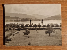 19480.   Fotografia D'epoca Aa '50 Lugano - 11,5x8,5 - Orte