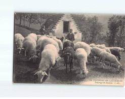 Environs De Cauterets, Pâturage De Moutons - Très Bon état - Andere & Zonder Classificatie