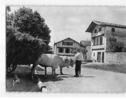 AINHOA : Un Coin Typique Du Village - Très Bon état - Ainhoa