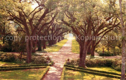 72705607 Saint_Francisville_Louisiana Rosedown Plantation And Gardens - Andere & Zonder Classificatie