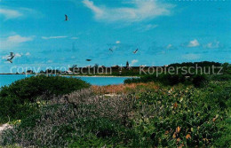 72705262 Fort Jefferson Panorama Leuchtturm Fort Jefferson - Otros & Sin Clasificación