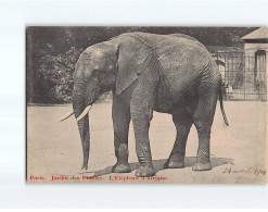 PARIS : Jardin Des Plantes, L'éléphant D'Afrique - Très Bon état - Parks, Gardens