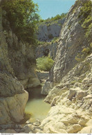 *CPM - 04 - OPPEDETTE - Les Gorges - Andere & Zonder Classificatie