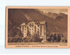 Les Praz De Chamonix, Grand Hôtel Régina Et Aiguille Du Dru - état - Chamonix-Mont-Blanc