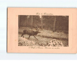 Forêt De FONTAINEBLEAU : Chasse à Courre, Dix-cors Sur Ses Fins - Très Bon état - Fontainebleau