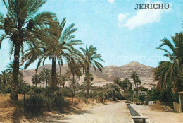 72664472 Jericho Israel Elisa Quelle Jericho Israel - Israel