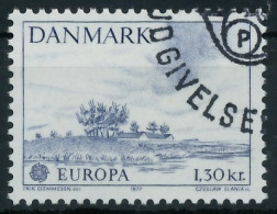 DÄNEMARK 1977 Nr 640 Gestempelt X55CDA6 - Oblitérés