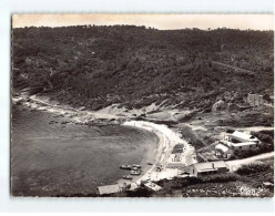 PAMPELONNE : Plage, Bonne Terrasse - état - Autres & Non Classés