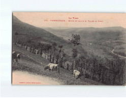 PIERRESEGADE : Route De Lacaze Et Vallée Du Gijou - Très Bon état - Andere & Zonder Classificatie