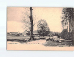 NEUVY SAUTOUR : Les Bords Du Créanton - Très Bon état - Neuvy Sautour