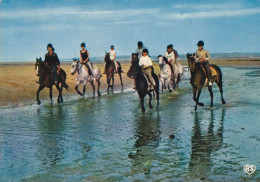 Promenade Equestre Avec Cheval - Chevaux